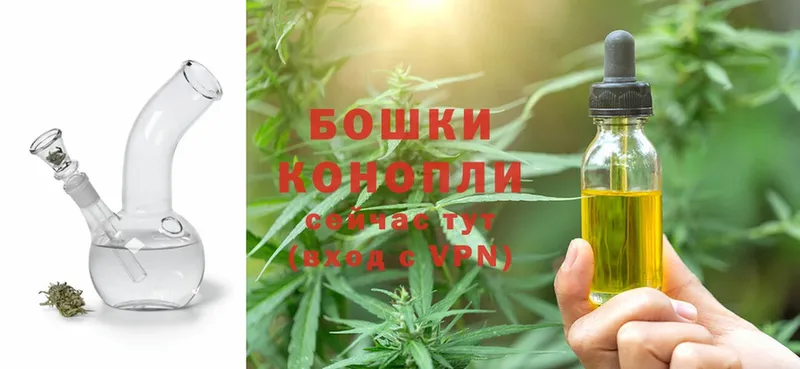 omg как войти  Пучеж  Бошки марихуана THC 21%  наркотики 